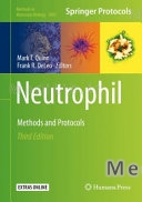 Neutrophil