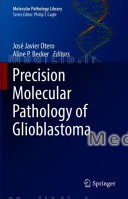 Precision Molecular Pathology of Glioblastoma