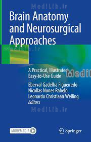 Brain Anatomy and Neurosurgical Approaches