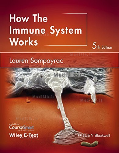 How the Immune System Works