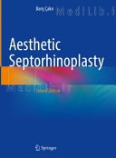 Aesthetic Septorhinoplasty