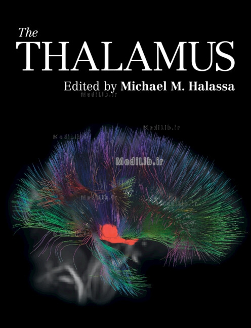 The Thalamus