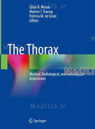 The Thorax