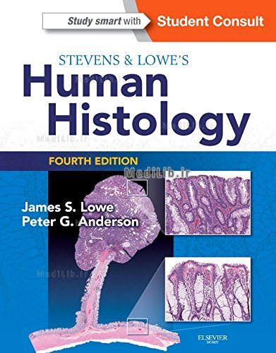 Stevens & Lowe's Human Histology - E-Book