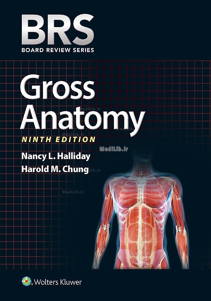 Gross Anatomy