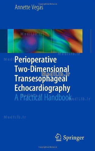 Perioperative Two-Dimensional Transesophageal Echocardiography