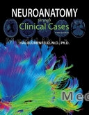 Neuroanatomy Through Clinical Cases