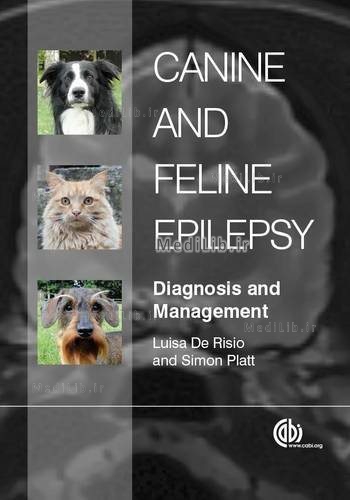 Canine and Feline Epilepsy